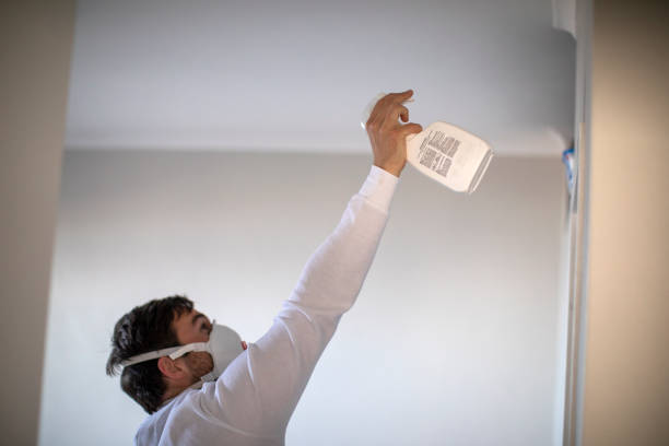 Best Mold Removal Specialists  in Haughton, LA