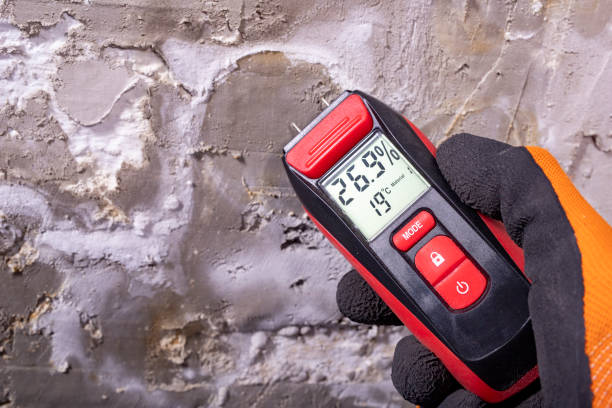 Best Toxic Mold Removal  in Haughton, LA