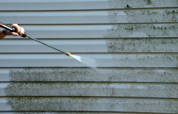 Mold Testing and Removal in Haughton, LA
