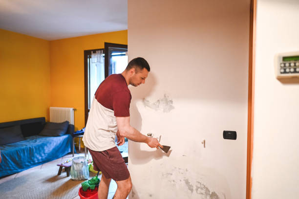 Best Same-Day Mold Removal  in Haughton, LA
